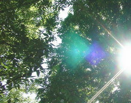 春眠 暁 を 覚え ず 全文